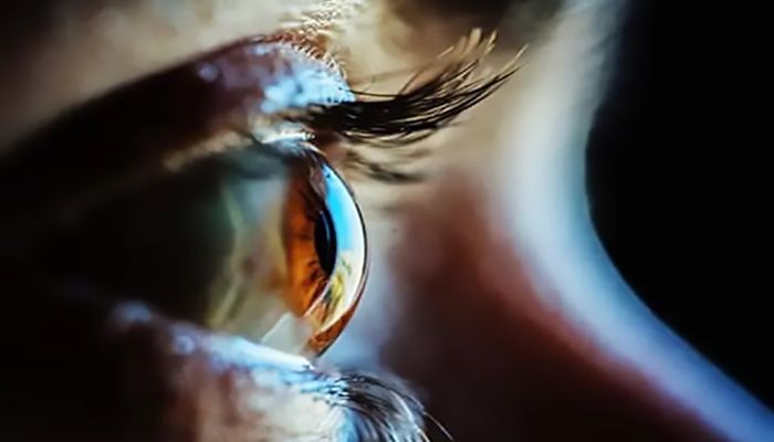 EGYPTEK VISION